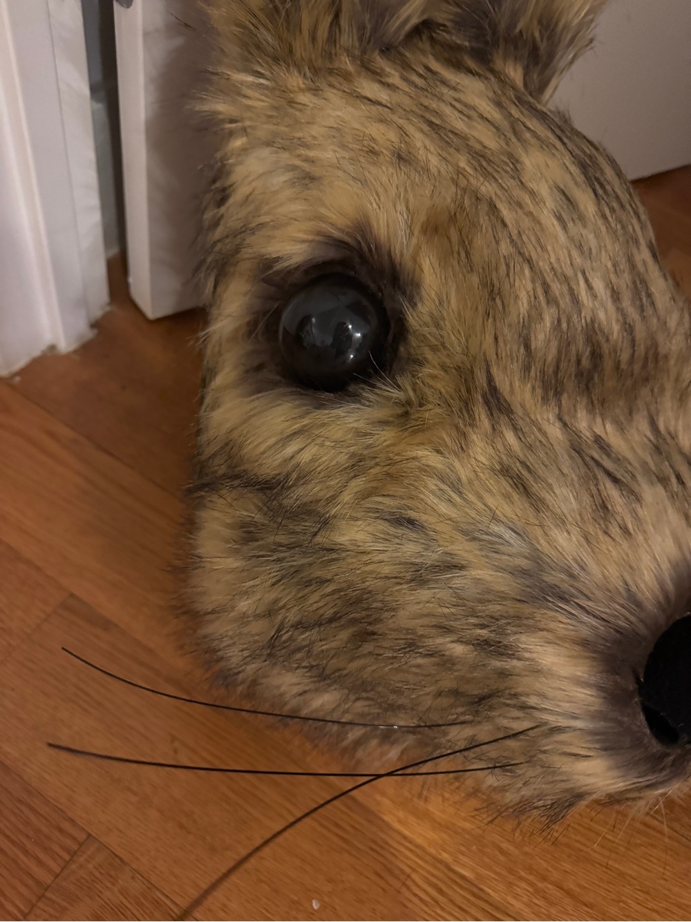 Custom Rabbit Mascot Head - Realistic David Lynch - Picture 2 of 6